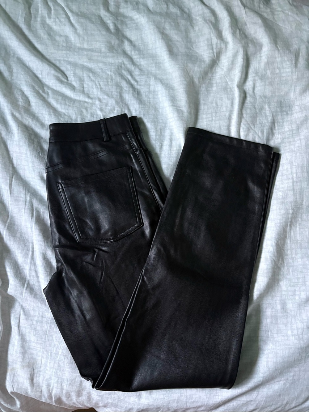 Dynamite faux leather pants size 2